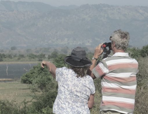 Guests observing wildlife at Udawalawe national park