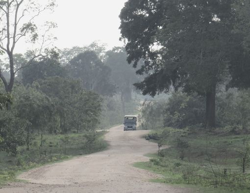 Yala Park Road Distance View