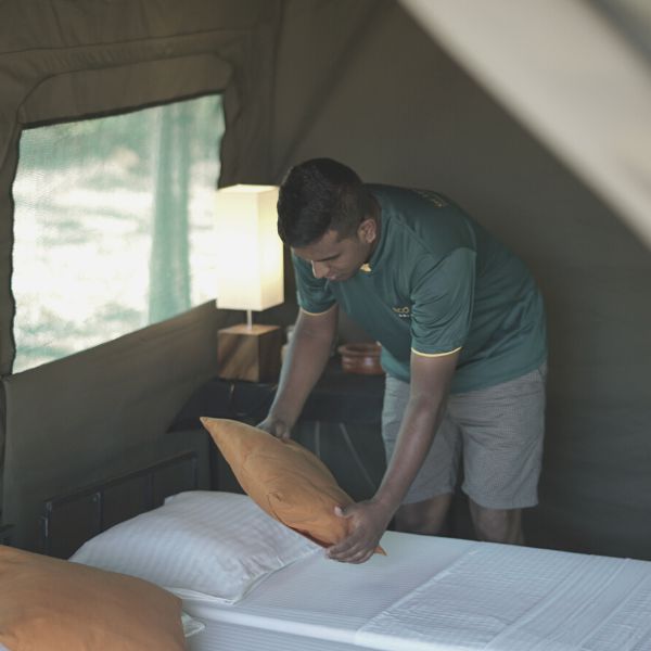 Big game staff is preparing the tent for accommodation at Udawalawe National Park