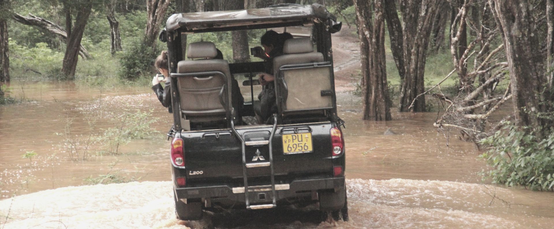 Wildlife safaris at Wilpattu National Park Sri Lanka