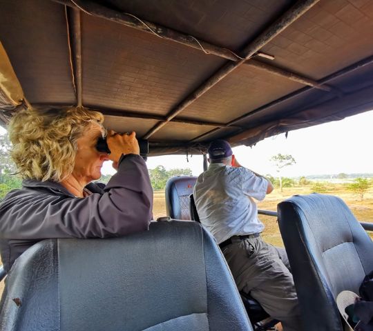 Image captured during a big game safari drive