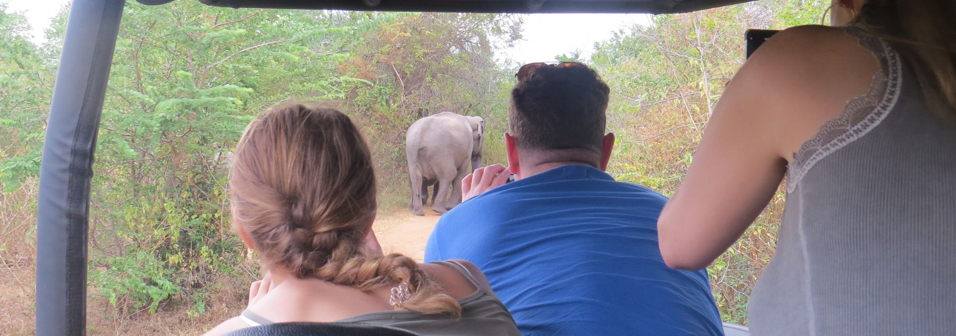 best budget family safari experience with big game camps Sri Lanka