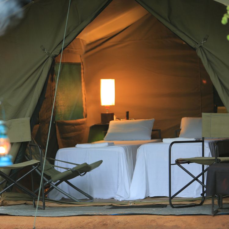 Big game Tent Yala 