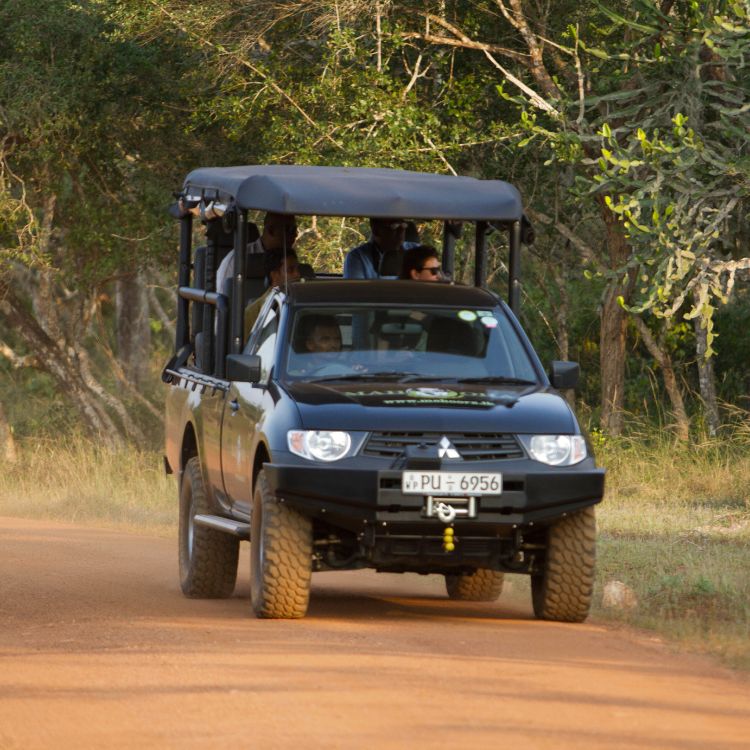Safari experience at Wilpattu national park