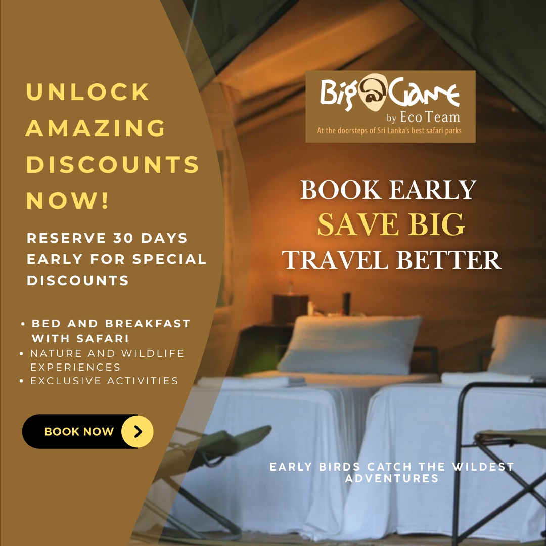 Big game camps early bird offer