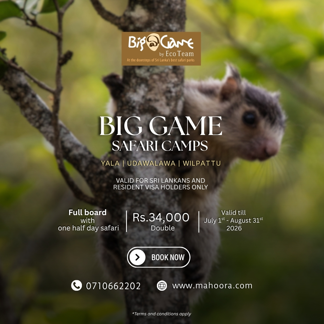 Big game camps offer