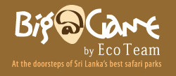 Sri Lanka Biggame Safaris